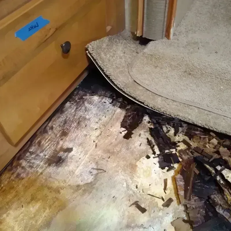 Wood Floor Water Damage in Whiting, WI